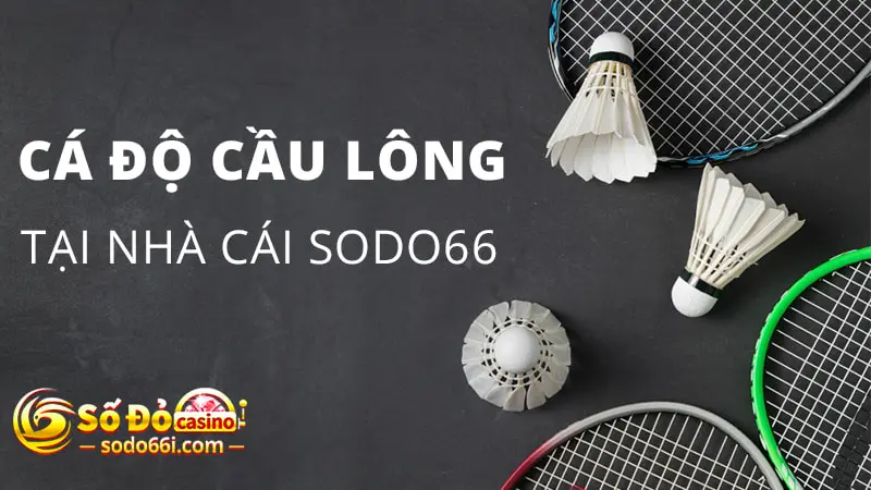 Thông tin về cá độ cầu lông tại nhà cái Sodo66