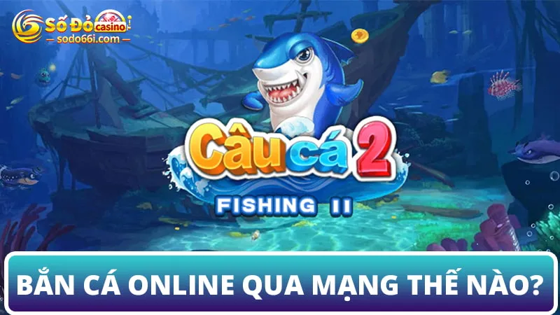 Bắn cá qua mạng như thế nào?