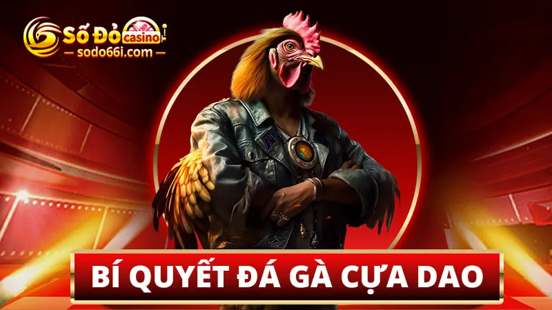 Bí quyết đá gà cựa dao