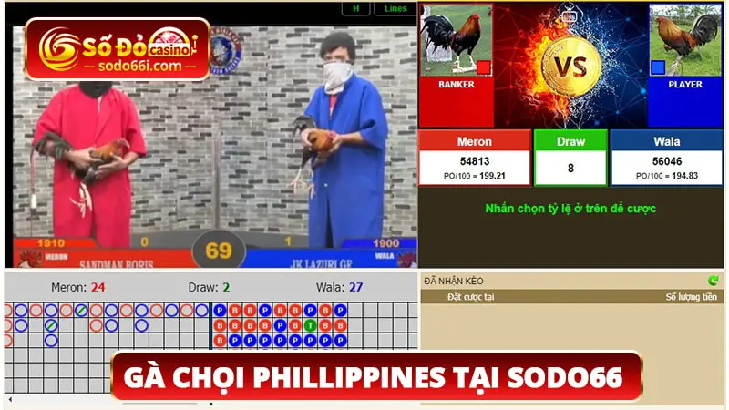 Gà chọi Phillippines tại SODO66